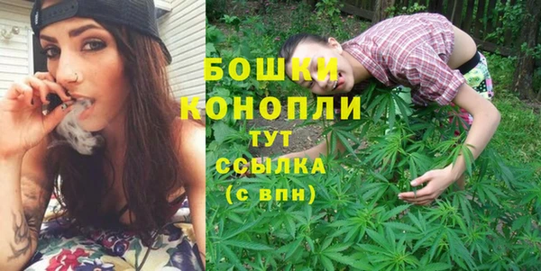 ECSTASY Инсар