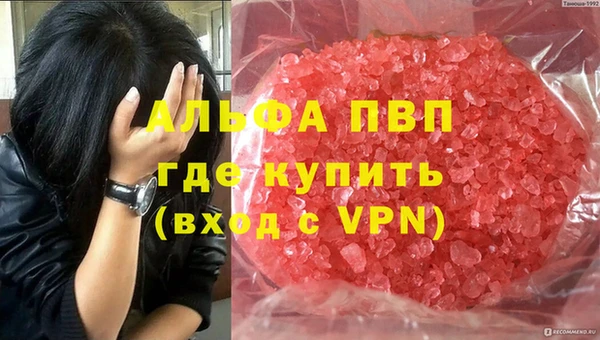 эйфоретик Инта