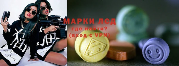 ECSTASY Инсар