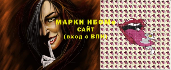 ECSTASY Инсар