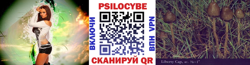 продажа наркотиков  Подольск  Галлюциногенные грибы Psilocybine cubensis 