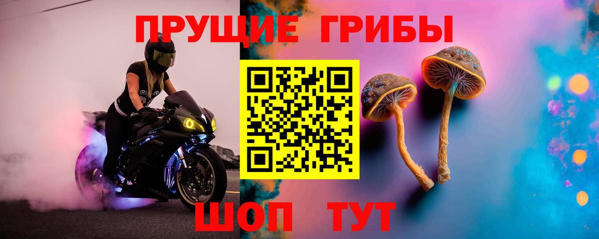 Псилоцибиновые грибы мицелий Подольск